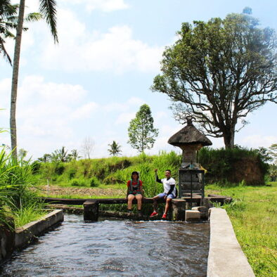 Ubud-RiceField-Walk-BaliEco-Tours-1