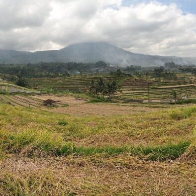 6004556260_6000d16a05_k BATUKARU CAN m4sh.3d