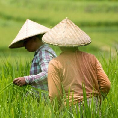 43757356940_bd01f28d28_h BATUKARU CAN Tomasz Baranowski