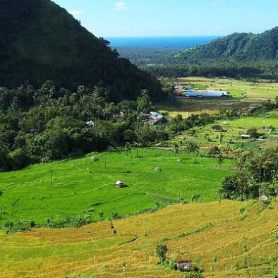 48225221341_1f4d1a99c3_c ABANG CAN Liem Men Sang