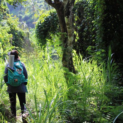 Ubud Rice Field Walk 4
