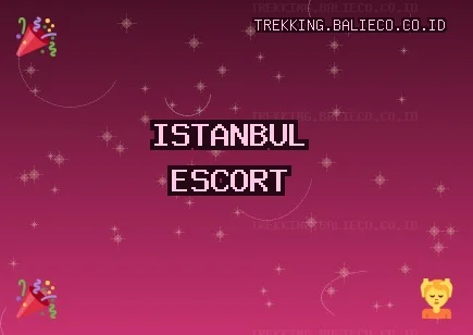 İstanbul Escort: Pendik Escort, Bakırköy Escort, Avcılar Escort